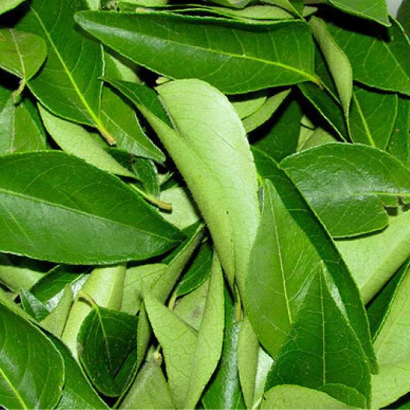 Scubefarms curry leaves - stripped Price per 100 Grams